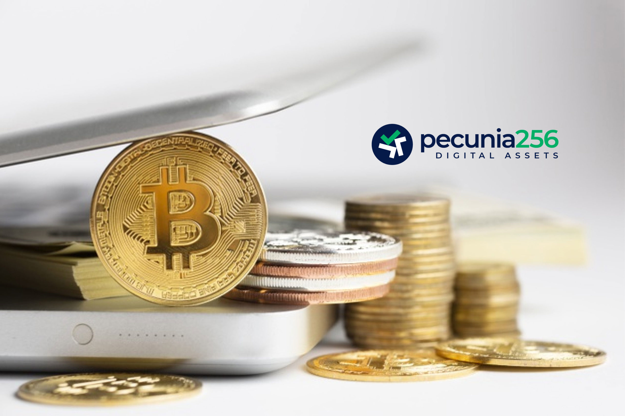 Introducción a Bitcoin Cash